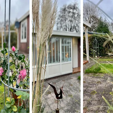 Retreat Near Sint Maartenszee